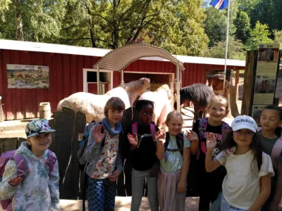 Foto des Albums: Zoo NK - 2. Schuljahr