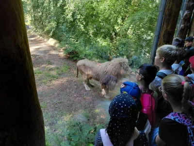 Foto des Albums: Zoo NK - 2. Schuljahr