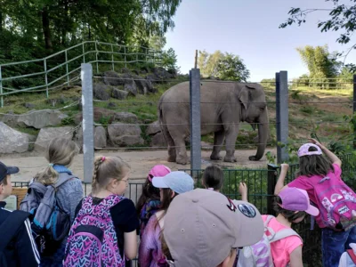 Foto des Albums: Zoo NK - 2. Schuljahr