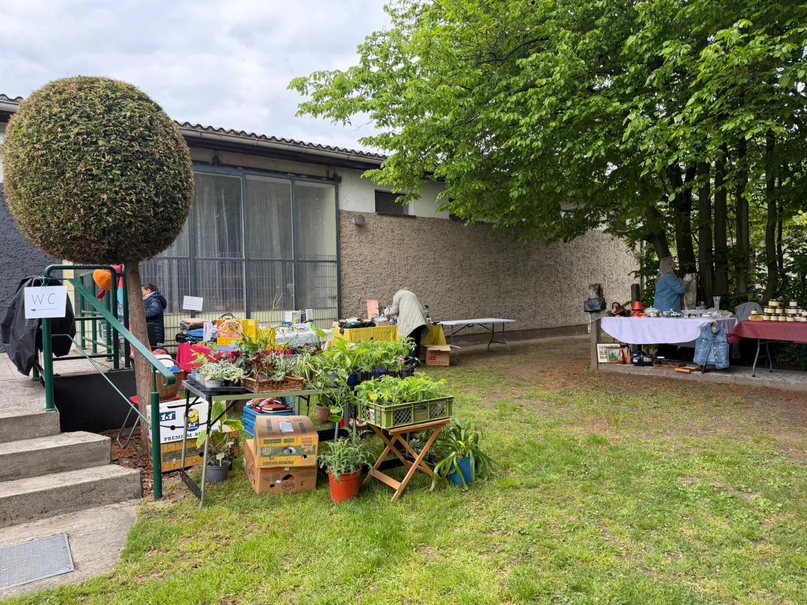 Bild der Galerie