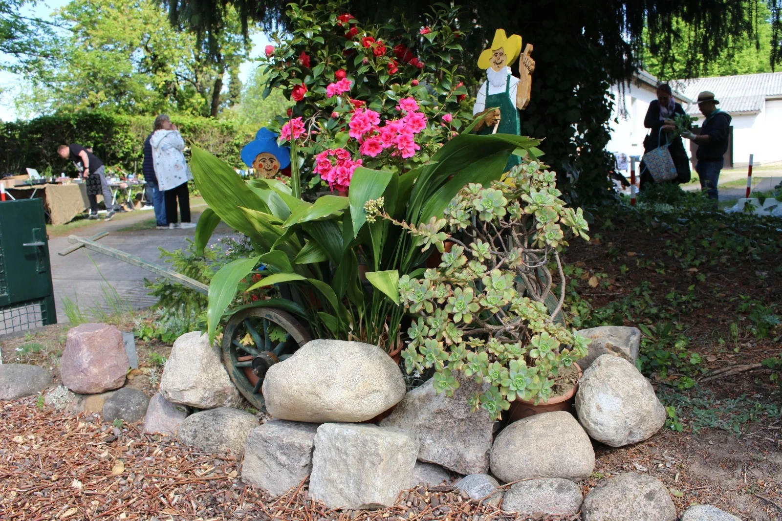 Bild der Galerie