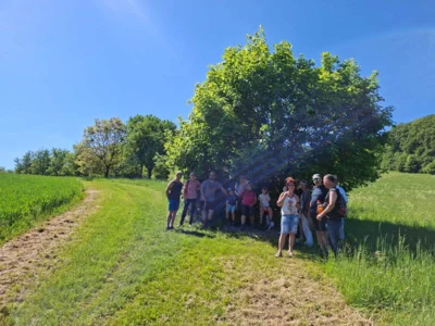 Foto des Albums: Pfingstwanderung 2026