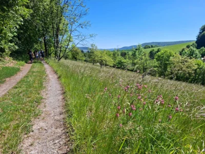 Foto des Albums: Pfingstwanderung 2026