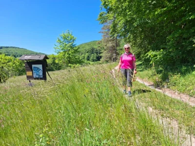 Foto des Albums: Pfingstwanderung 2026