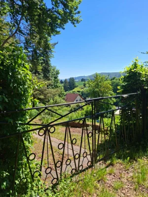 Foto des Albums: Pfingstwanderung 2026