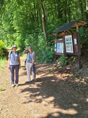 Foto des Albums: Pfingstwanderung 2026