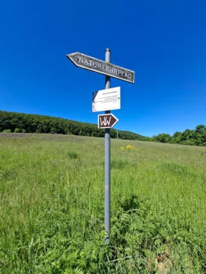 Foto des Albums: Pfingstwanderung 2026
