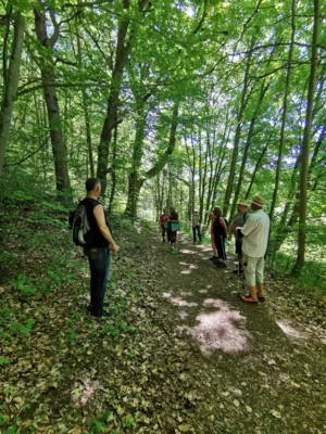 Foto des Albums: Pfingstwanderung 2026