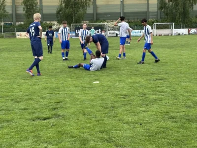 IMG 0690  (Bild vergr&ouml;&szlig;ern)