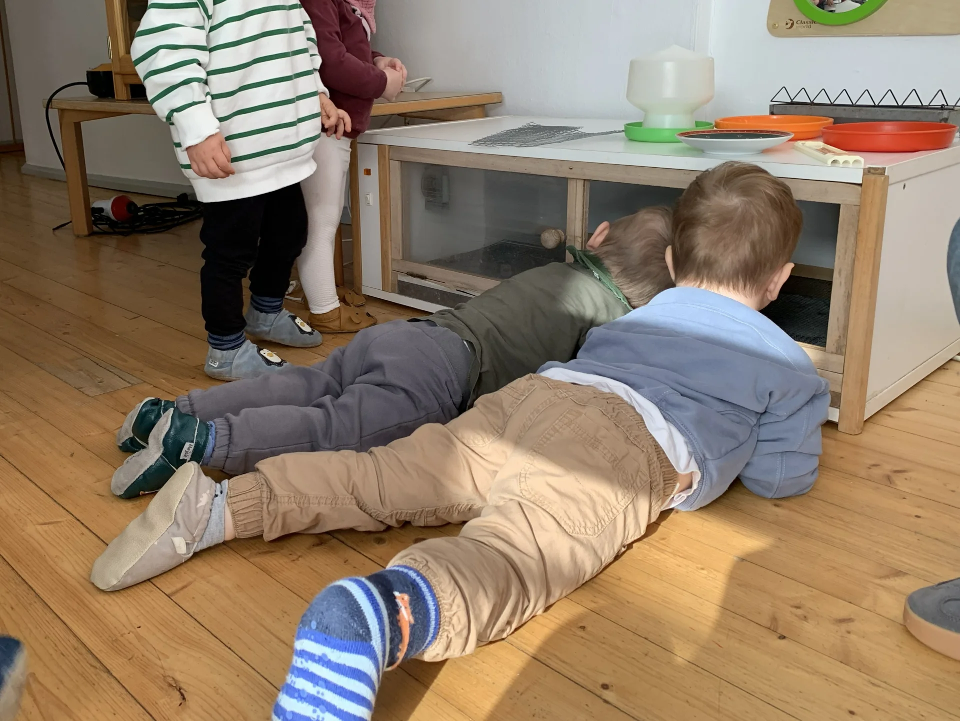 Bild der Galerie