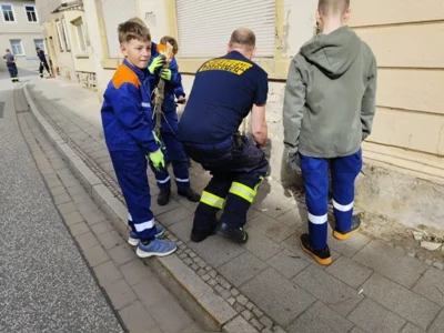 Foto des Albums: Mitmachtag 2026 in Ermsleben