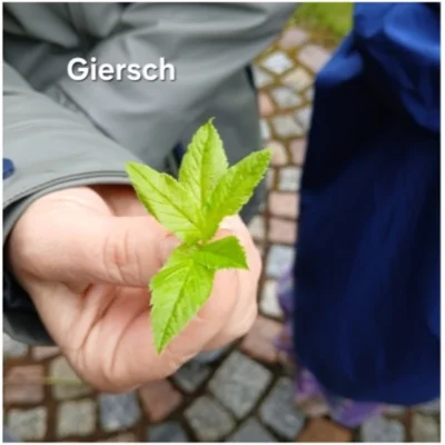 Ausflug nach Garnsdorf 10 