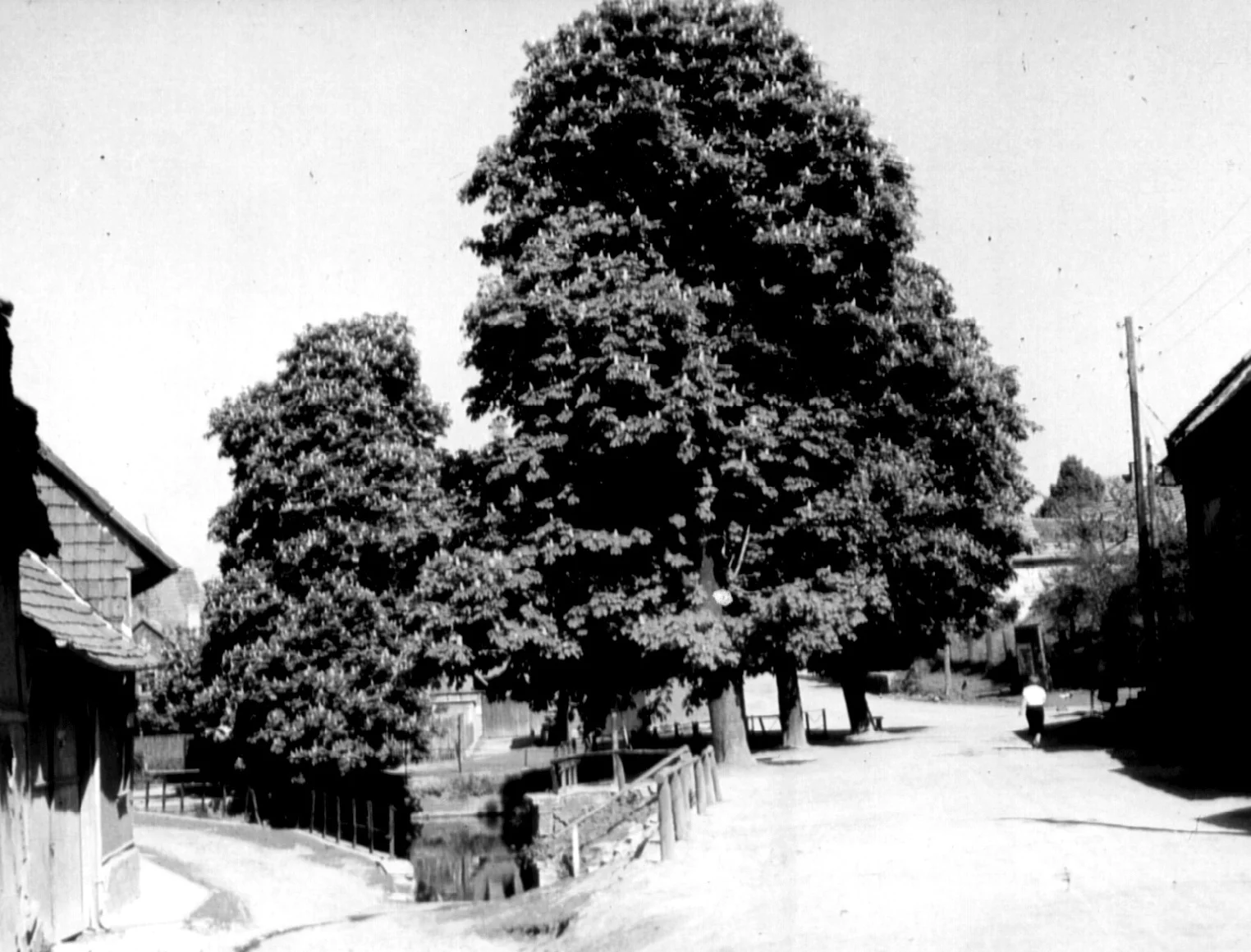 Bild: Unterschwemme um 1960