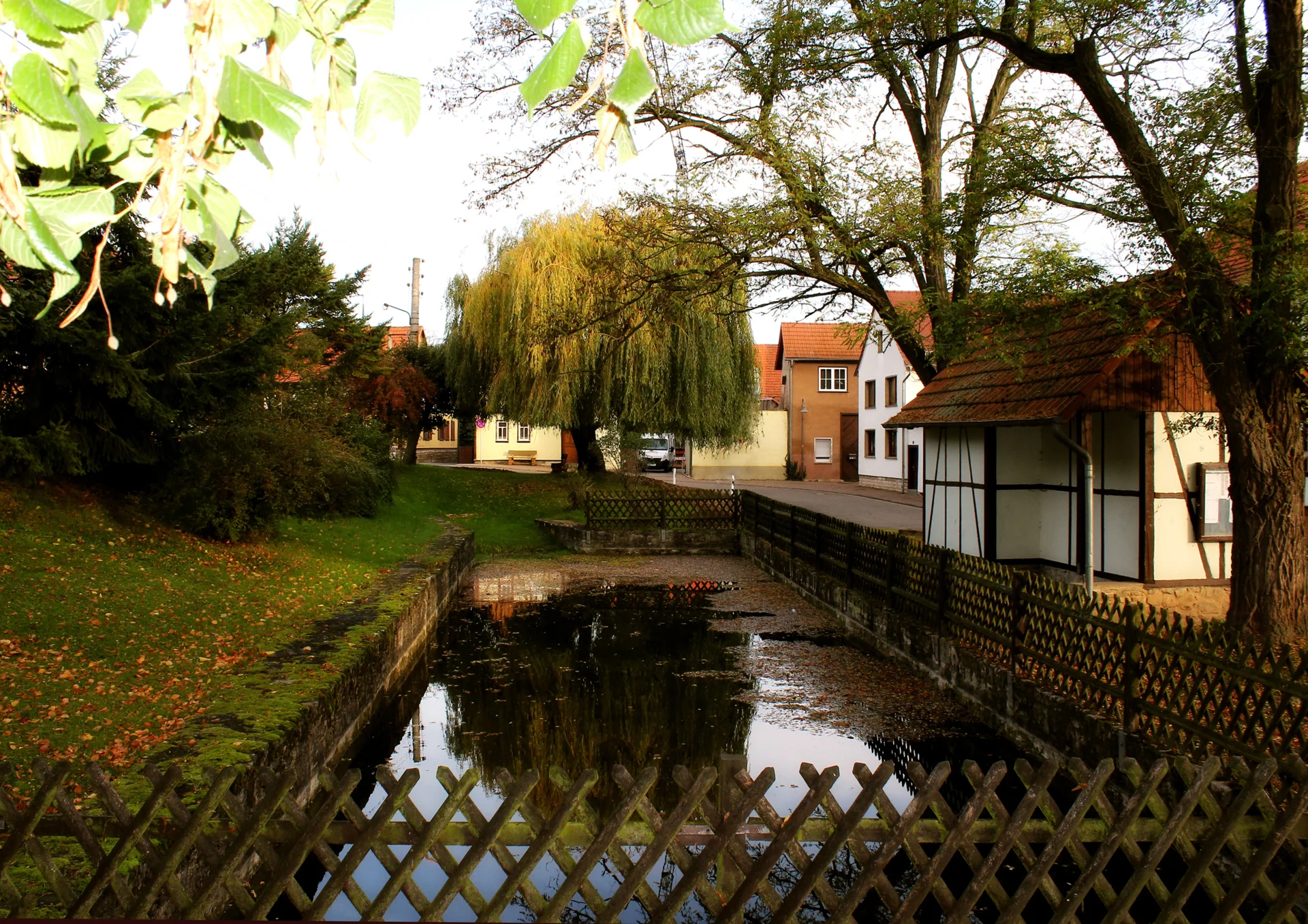 Bild: Oberschwemme 2014 noch mit Wasser (Foto Sabine Weyda)