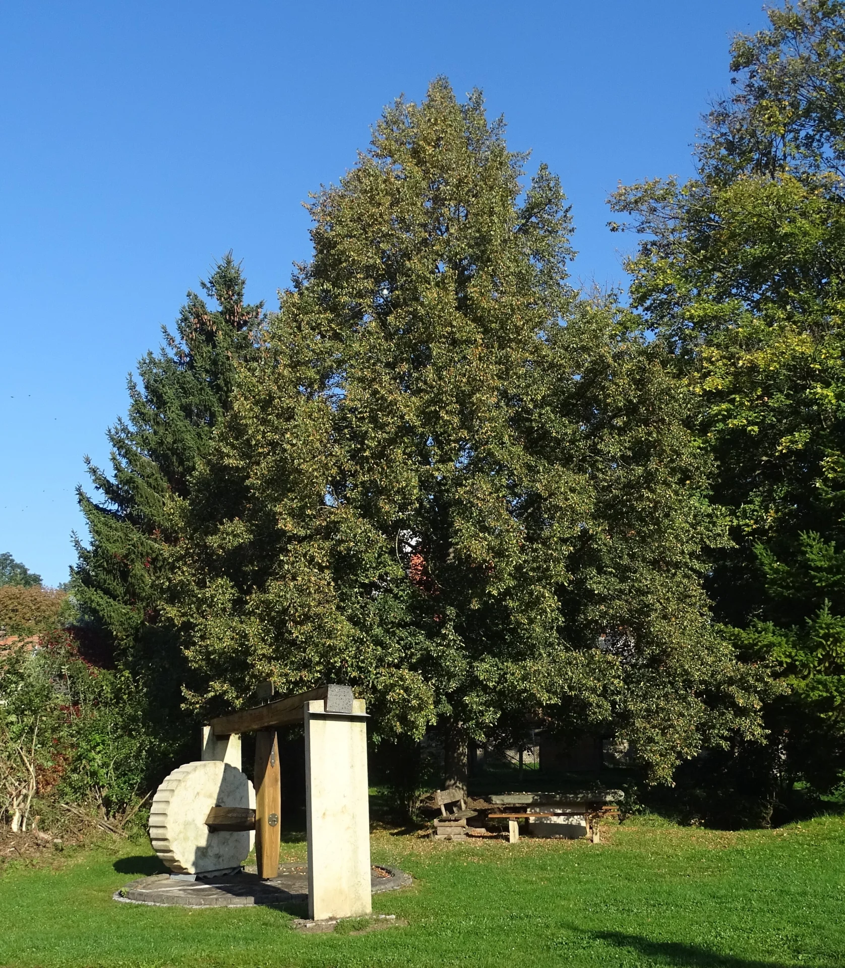 Bild: An der Waidmühle
