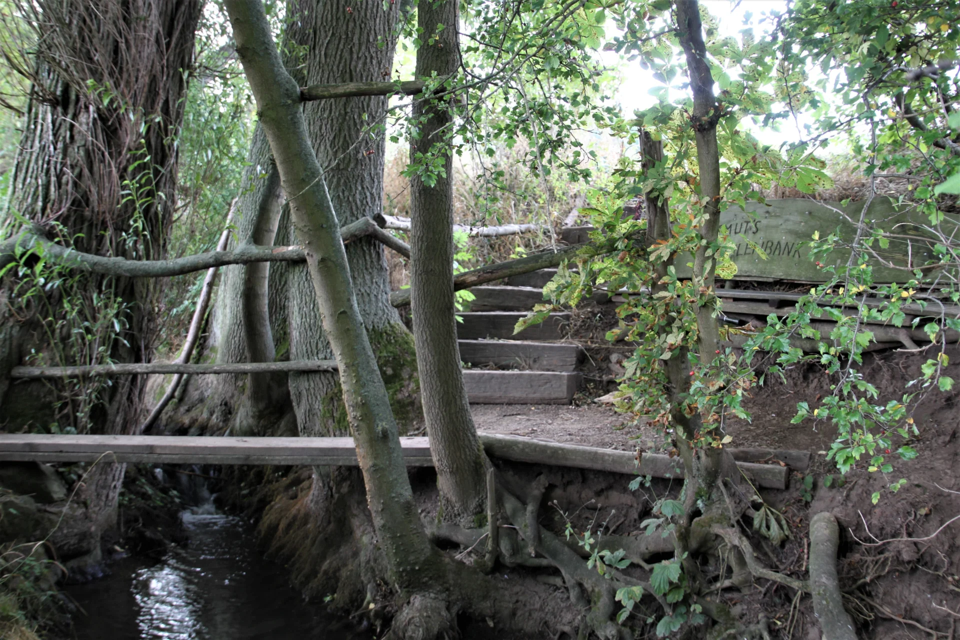Bild: An der Tonna