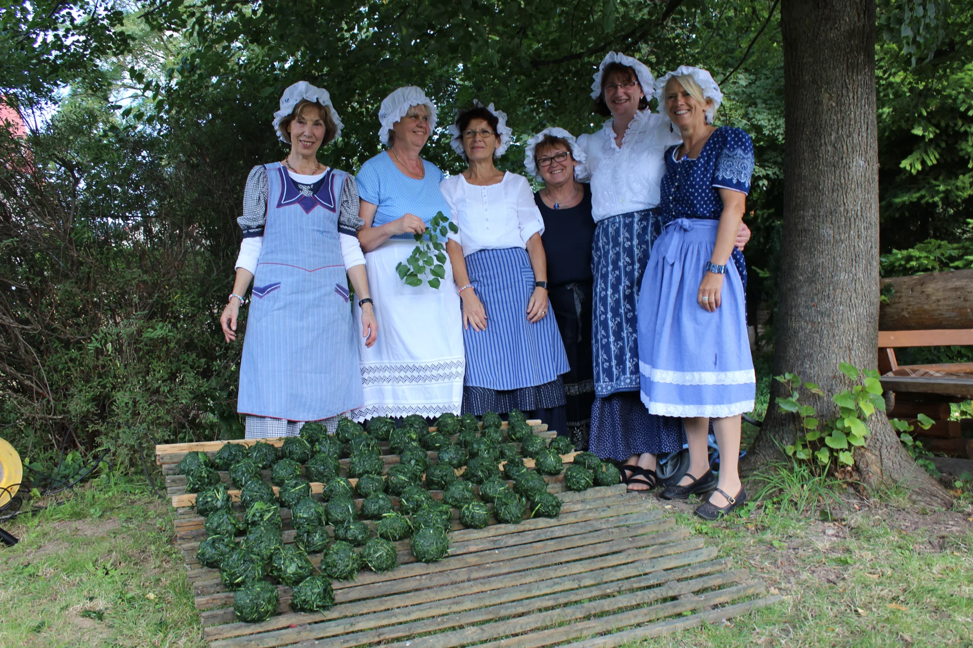 Bild: Die Waidballen werden auf der Darre zur Trocknung ausgelegt, Martha Wittich, Inge Stüber, Birgit Meyer, Barbara Dünkel, Angelika Dörfler und Katrin Topf. Nach der Trocknung erfolgte früher der Verkauf durch die Waidbauern