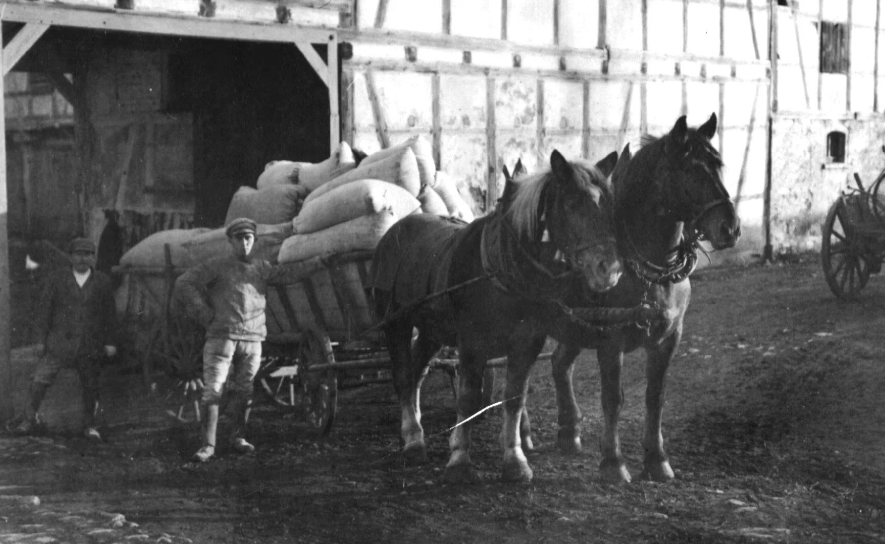 Bild: Pferdegespann vor der Obermühle (heute Mühlenweg 2) mit den Müllern Hermann und Alfred Köbis (Foto aus den 30er Jahren).