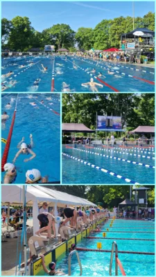 Foto des Albums: 29. Internationaler Sportbad-Pokal in Berlin 23.+24.05.2026