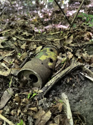 Foto des Albums: CleanUp Hürth im Bürgerpark De Bütt