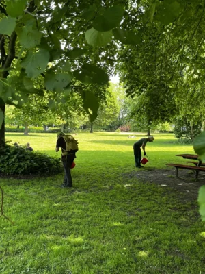 Foto des Albums: CleanUp Hürth im Bürgerpark De Bütt