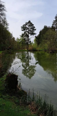 Foto des Albums: Spessartblick