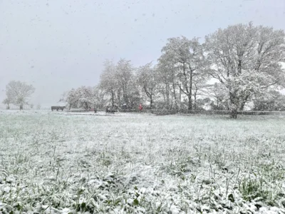 Foto des Albums: TKF im Schnee (von Seelenberg nach Treisberg)