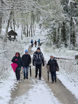 Foto des Albums: TKF im Schnee (von Seelenberg nach Treisberg)