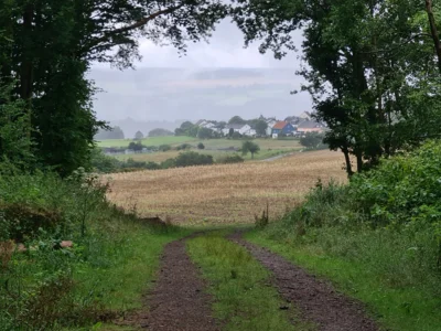 Foto des Albums: Erlebniswanderung Balduinstein