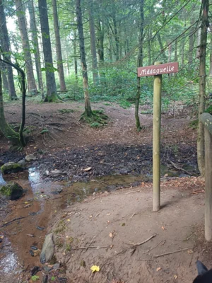 Foto des Albums: Hoherodskopf Höhenweg