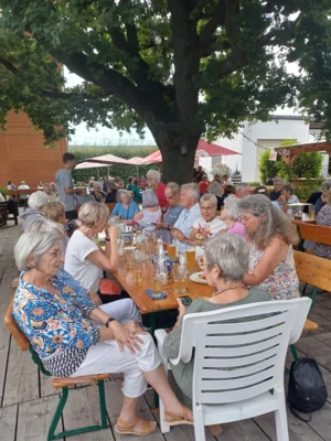 Foto des Albums: Sommerabend auf dem Birkenhof