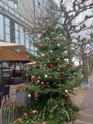 Foto des Albums: Weihnachtsmarkt Mainz