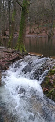 Foto des Albums: Reichenbachtal