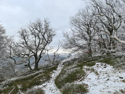 Foto des Albums: Feldberg