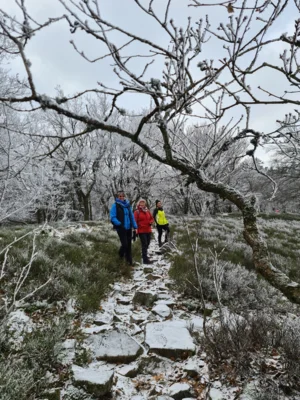 Foto des Albums: Feldberg