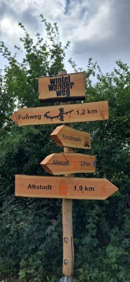 Foto des Albums: Über den Wipfeln des Taunus