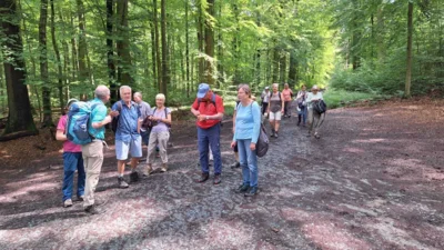 Foto des Albums: Über den Wipfeln des Taunus