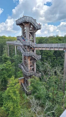 Foto des Albums: Über den Wipfeln des Taunus