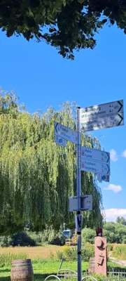 Foto des Albums: Von Mainz-Kostheim nach Hochheim