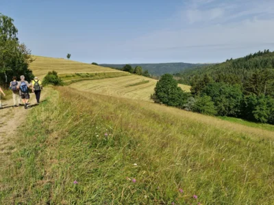 Foto des Albums: Zum Monte Preso