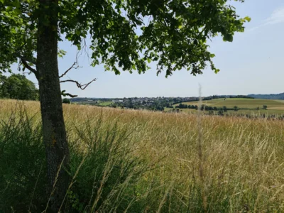 Foto des Albums: Zum Monte Preso