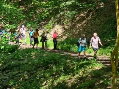 Foto des Albums: Erlebniswanderung rund um Bingen