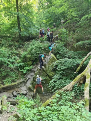 Foto des Albums: Erlebniswanderung rund um Bingen