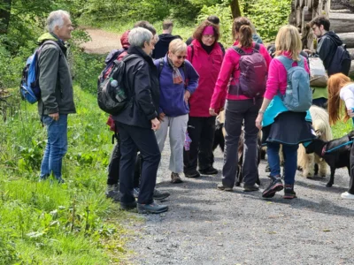 Foto des Albums: 'Ruhegeister' bei Schmitten