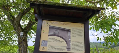 Foto des Albums: Von Eltville zum Kloster Eberbach