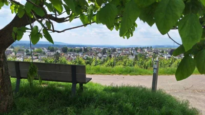 Foto des Albums: Von Eltville zum Kloster Eberbach