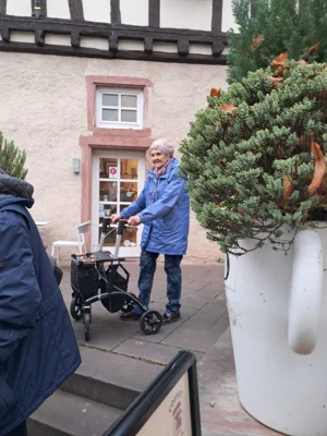 Foto des Albums: Senioren in Hofheim