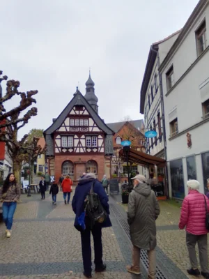 Foto des Albums: Senioren in Hofheim