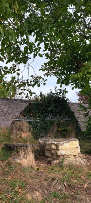 Foto des Albums: Elztal Runde