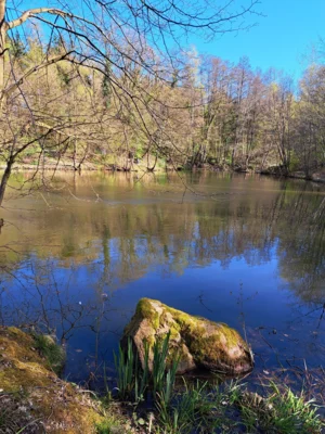 Foto des Albums: Rund um Wildsachsen